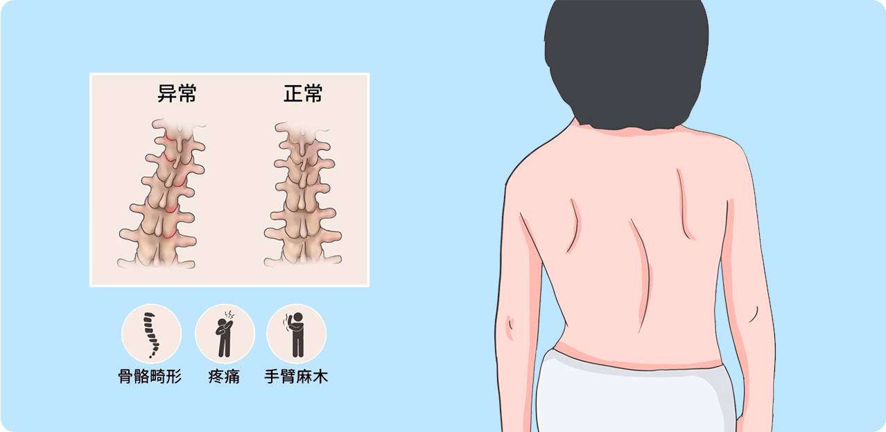 ��̱����������������̱�뼹������Ĺ�ϵ