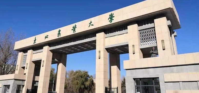 ���������ô��������Ҫǰ��ѧ����