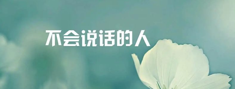 �챿������������˵��
