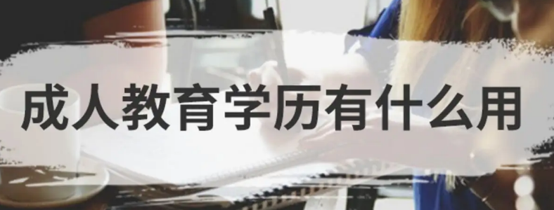 成教学历国家承认吗