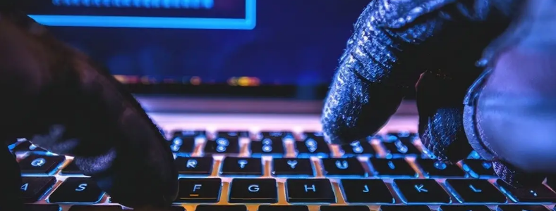 学Java开发和网络安全哪个好