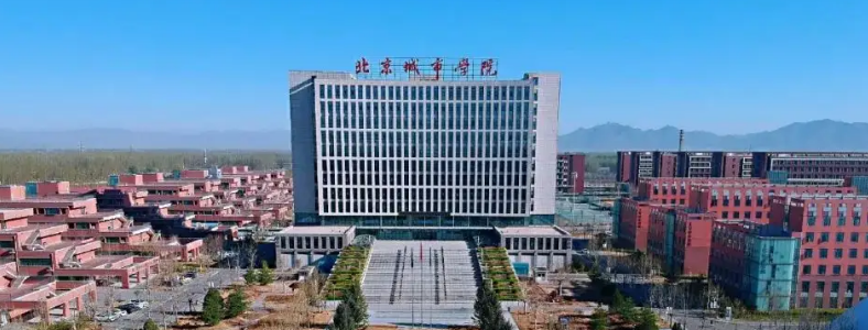 北京城市学院社会工作研究生考什么科目