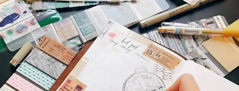 国际学校课程怎么选择