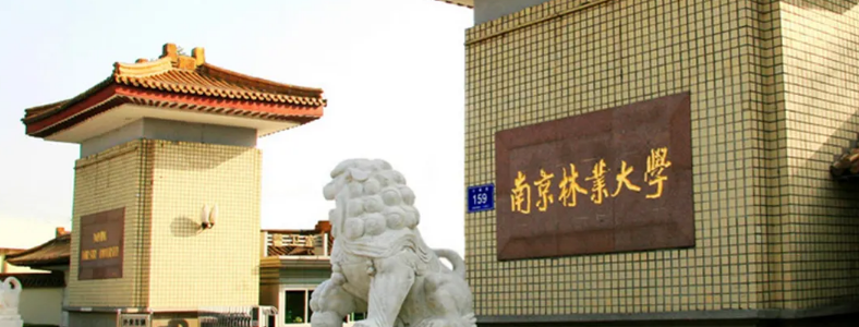 南京林业大学考研专业有哪些推荐