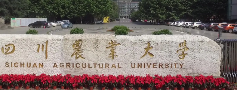四川农业大学研究生学费一年多少