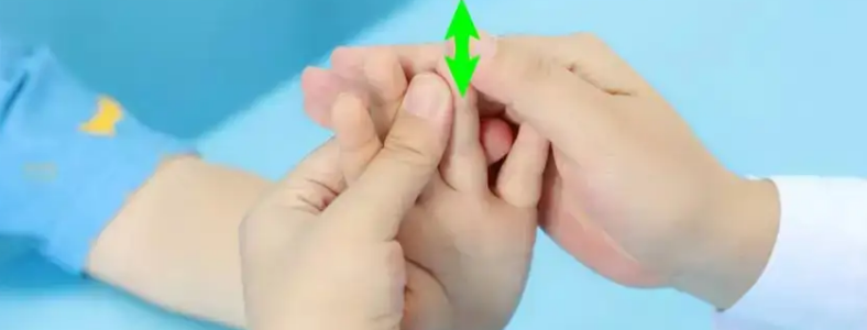 С������֤������������
