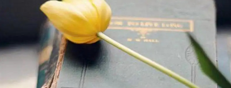 ͬ��ѧ����˶����רҵ����Щ