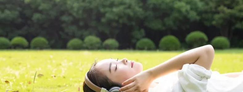 �и��������ֱ�׼����������
