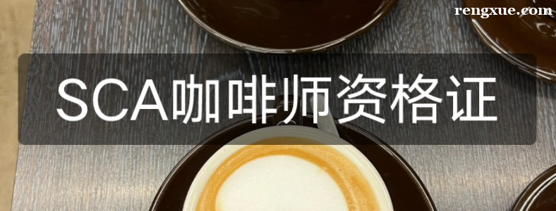 ����ʦSCA֤�麬�����߲�