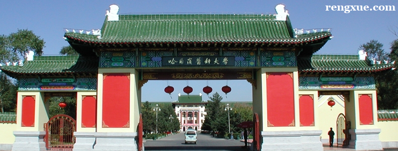 哈尔滨医科大学考研好考吗