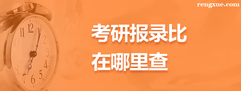 考研报录比在哪儿查