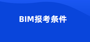 bim�ȼ����Ծ���ı�����������ʲô