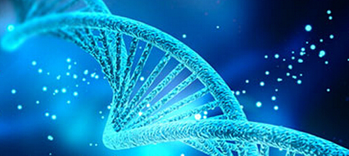 AP生物难吗?AP生物的难点之处有哪些?