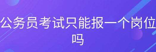 公务员报考只能报一个岗位吗