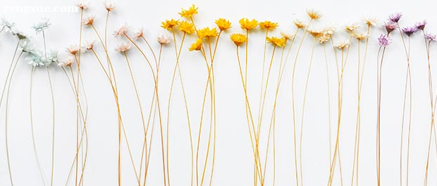 ��˼���Ա���Ҫ�೤ʱ�� ��ʲô�ý���