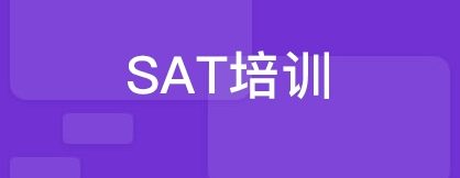 ��SAT�﷨�����е����⼼�ɷ���