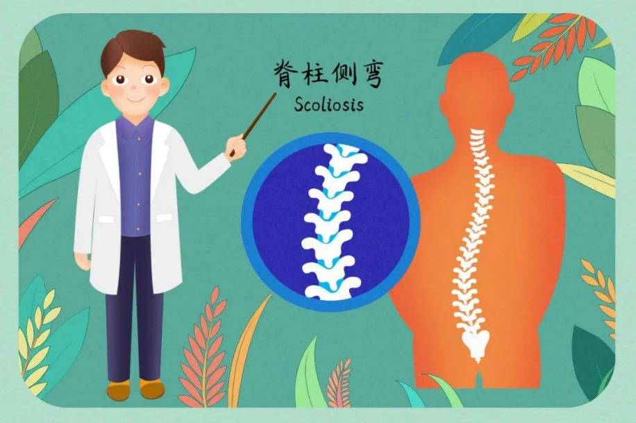 �ᵼ�º����Լ��������ԭ��