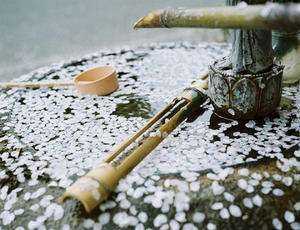 ����������Ч���������Ķ��ٶȵķ���