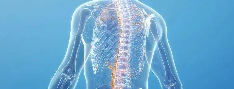 ��������������Ӱ��