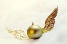 �����������N4��