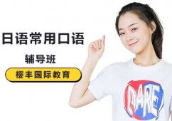 ������︨����