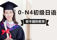 ����0-N4���������