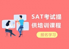 SAT������ѵ