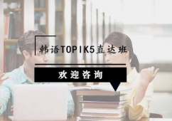 ����TOPIK5ֱ��