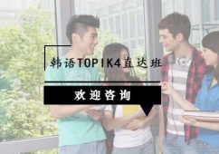 ����TOPIK4ֱ��