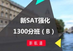 SATǿ1300ְࣨB