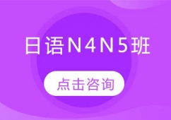 N4N5