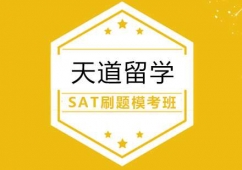 �人SATˢ��ģ����