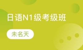 ����N1������������