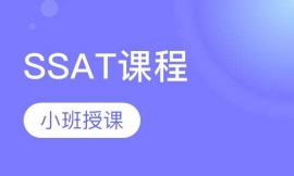 SSATγ