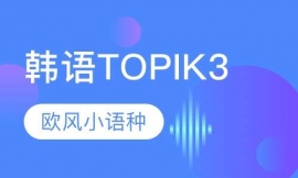TOPIK3