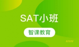 SATС