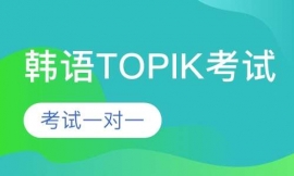 ����TOPIK����һ��һ