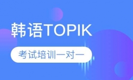 ����TOPIK������ѵһ��һ