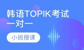 ����TOPIK����һ��һ����