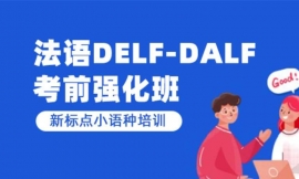 DELF/DALFǰǿ