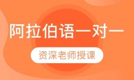 阿拉伯语一对一