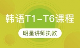 T1-T6γ