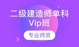 ʦVip