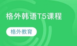 ���⺫��T5�γ�