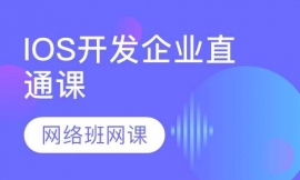 IOS开发企业直通课