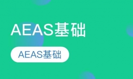 AEAS基础课程小班