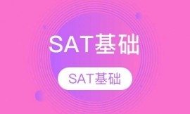 SAT基础课程一对一