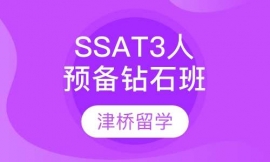SSAT3Ԥʯ