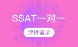 SSAT一对一班