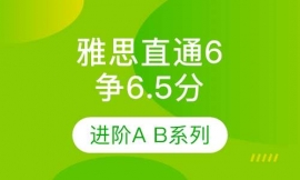 �ɶ���˼ֱͨ6����6.5��VIP��Ʒ����